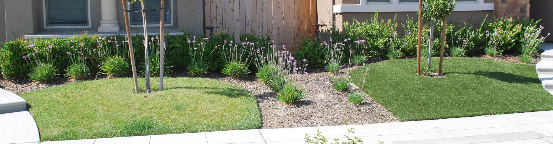 Analyzing Costs of Synthetic Grass and Natural Grass in Albuquerque